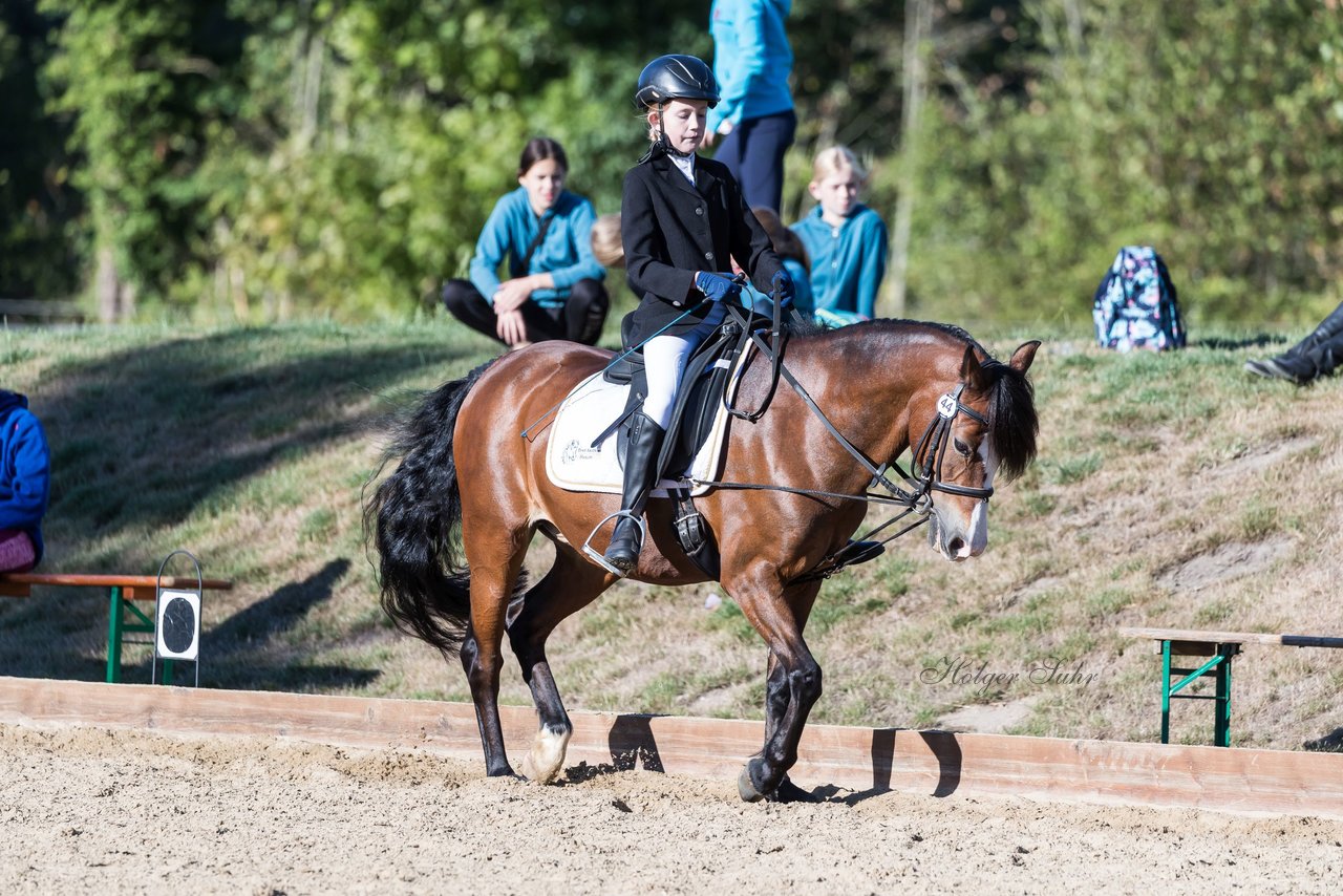 Bild 54 - Pony Akademie Turnier